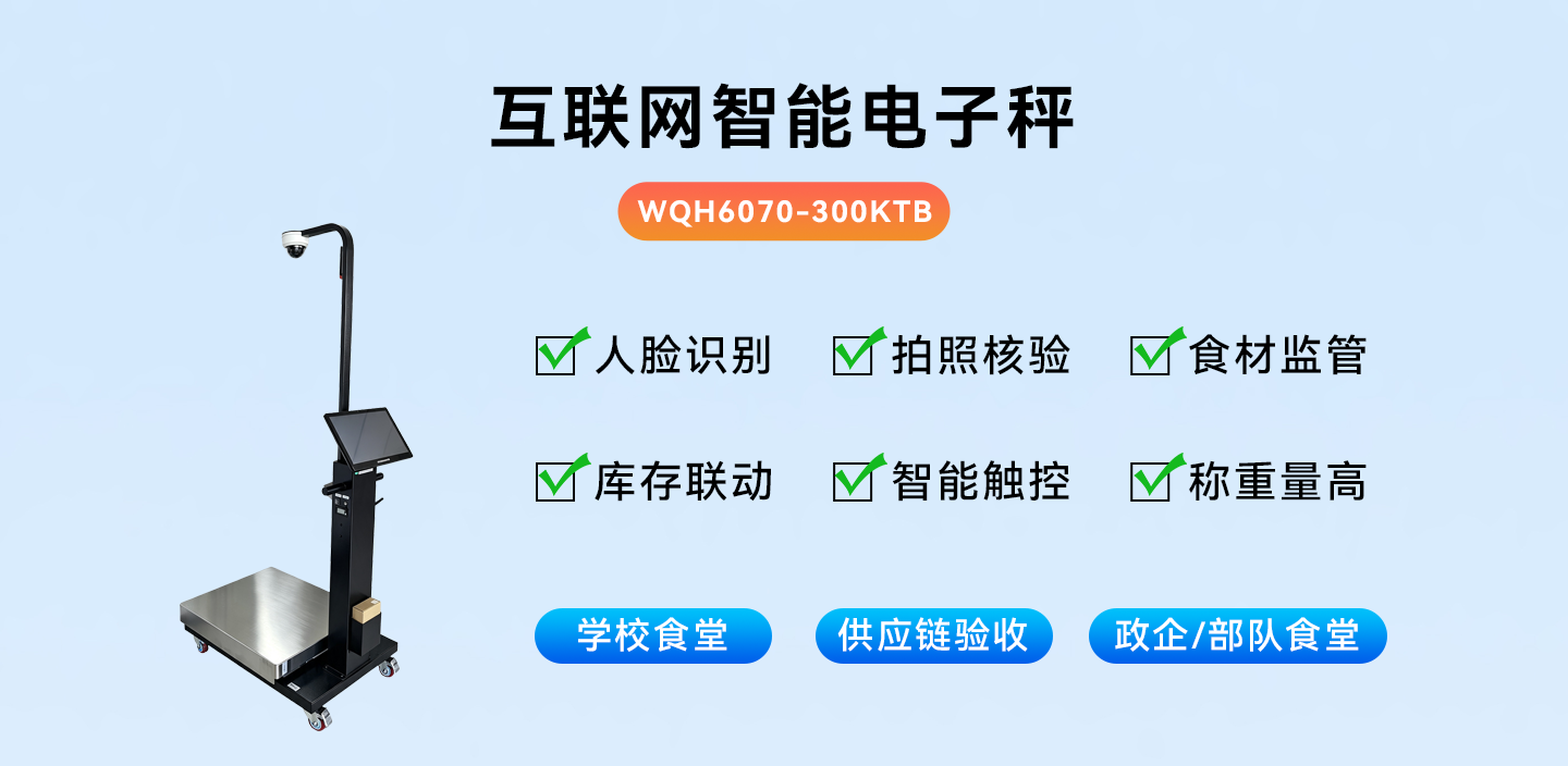 互联网电子秤使用展示